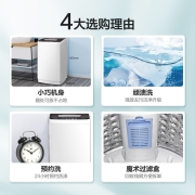 【官方旗舰店】海信波轮洗衣机全自动5.6公斤小型迷你家用出租房宿舍 10大洗衣程序 洗脱一体以旧换新