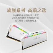 美商海盗船（USCORSAIR） 32GB(16G×2)套装 DDR4 3200 台式机内存条 统治者铂金 RGB灯条 炫目白 高端游戏型