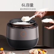 九阳（Joyoung） 电压力锅智能高压锅6L容量家用多功能电饭煲不锈钢内胆双胆铜匠大火预约定时 电高压锅Y60C-B771