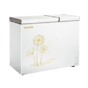 MELING 美菱 BCD-220DT 家用冰柜 220L