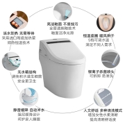 乐家（Roca） 智能马桶冲水智能坐便器一体机小户型卫生间全自动翻盖马桶厨卫防臭无水箱家用阿笛思系列 【自翻款】香槟金 305坑距