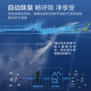 松下（Panasonic）智能马桶盖 即热式全功能 无纸化速干 独立遥控器操作DL- RN30CWS
