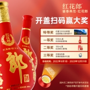 郎酒 红花郎十(10) 酱香型白酒 53度500ml*2*4瓶 礼盒整箱装 国庆好礼(新老包装随机发货）