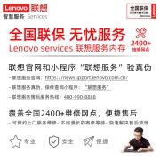 联想（Lenovo）4GB DDR4 2666 笔记本内存条