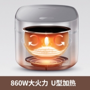 九阳（Joyoung） 电饭煲4升家用米饭锅一键预约智能电饭锅多功能蒸煮一体煮饭锅 40FY819