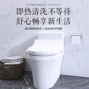 松下（Panasonic）智能马桶盖即热式经典宽幅款马桶盖子洁身器DL-5209CWS