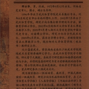 少林秘传童子功（少林秘传绝技丛书.二）