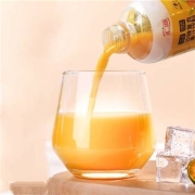 汇源 沙棘果汁 350ml*6瓶