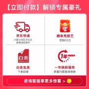 蓝宝（BLAUPUNKT） 空气炸锅家用7L多功能薯条机电炸锅炸烤一体无油电炸锅大功率低脂煎炸锅 7L空气炸锅-曜石黑