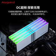 阿斯加特（Asgard）32GB(16Gx2)套装 DDR4 3200 台式机内存条 女武神·瓦尔基里系列 RGB灯条