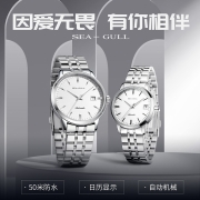 海鷗表（SEA-GULL） 海鸥手表男机械国表  商务防水自动上链手表 【男表推荐】816.362白盘（皮带套装）