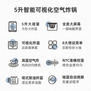小熊（Bear） 空气炸锅 家用可视窗口 5升大容量 触控智能全自动定时无油薯条机烤箱可拆卸易清洗 QZG-E16C5