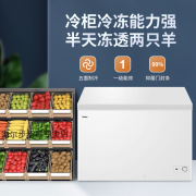 Haier/海尔冰柜家用无需除霜203升全冷冻一级能效带食品筐脚轮 203升可装280斤肉/白色/两个食品筐