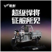 金彭雄鹰1.3米电动三轮车 老年代步电动车载货拉货载重家用农用