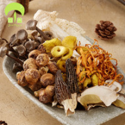 junyi 菌益 云南七彩菌菇汤料包