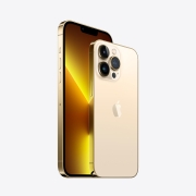 Apple iPhone 13 Pro Max (A2644)支持移动联通电信5G 双卡双待手机 金色 256GB【官方标配】