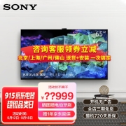 索尼（SONY） XR-65A95K 65英寸 QD-OLED 4K超薄智能高清全面屏电视旗舰新款