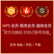 KINGSOFT 金山 WPS超级会员 年卡 2年
