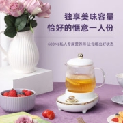 澳柯龙 YSB-003 多功能小型养生杯电炖杯 0.6L 3色