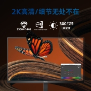 飞利浦 23.8英寸 2K IPS Type-C65W 低蓝光 网课 旋转升降 高清设计 办公显示器 娱乐显示屏 24E1N5600E