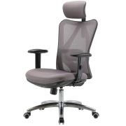 PLUS会员：SIHOO 西昊 M18 人体工学电脑椅 灰色