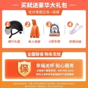 雅迪电动车DM2锂电池48V24AH新国标电动自行车学生代步都市畅行男女通用可上牌 48V24A锂电炫彩版/续航约100km