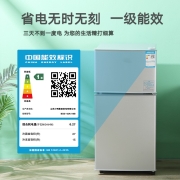 小鸭牌小冰箱迷你小型家用 冷藏冷冻宿舍办公室租房优选二门小户型双门电冰箱一级节能省电 一级能效-42L银【3天一度电】
