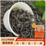 寅伯茶坊 凤凰单丛22年新茶头春茶单从正宗鸭屎香清香型凤凰单枞