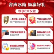 容声(Ronshen)636升变频一级能效冰箱双开门对开门双门家用风冷无霜BCD-636WD11HPA超大容量节能存储