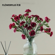 【基地直发】FlowerPlus花加优选水养鲜切花瓶插花桌面装饰清新礼物速递花束（下单后7天内发货） 香石竹10枝,颜色随机 预售