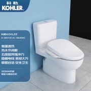 科勒KOHLER智能马桶座便器全功能加热除臭烘干智能马桶盖坐便器组合套餐K-3991+18649（暗藏线款）300坑距