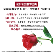 鲜花情人节99朵33朵红玫瑰鲜花同城配送速递送闺蜜女友朋友老婆生日花束表白求婚礼物全国送花上门 只钟情你·33朵香槟玫瑰花束 同城配送 支持预约日期