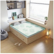 LINSY 林氏家居 CD126 天然椰棕家用床垫 90*190cm