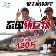 狼王海竿远投竿超硬海杆抛竿钓鲢鳙渔具套装海钓鱼竿全套十大名牌