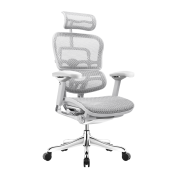 PLUS会员：Ergonor 保友办公家具 金豪E 人体工学电脑椅 灰框-银白色