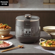 松下（Panasonic）2L电压力锅 迷你电压力锅  高压锅 电压锅 电饭锅 24小时预约 可拆洗内外盖 SR-PB201-H