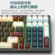 RK98 机械键盘无线2.4G/有线/蓝牙三模RGB热插拔100键98配列电脑游戏键盘笔记本办公TTC七彩红轴水绿版