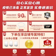 Sibyl 【2022新款】蓝牙耳机华为苹果小米荣耀通用真无线入耳式双耳降噪重低音音乐运动跑步游戏 高雅灰 旗舰款【无感延迟+超长续航+极速闪充】