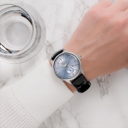 精工（SEIKO）手表 PRESAGE领航系列日本原装进口能量显示自动/手动上链机械男表SSA343J1 生日礼物