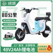 LUYUAN 绿源 ZK5-K5 电动自行车 TDT2171Z