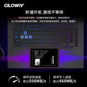 光威（Gloway）240GB SSD固态硬盘 SATA3.0接口 悍将系列-畅快体验高速存储