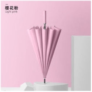 Beneunder 蕉下 简约16骨直杆晴雨伞