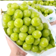 88VIP：阳光玫瑰葡萄晴王青提 1900g3.8斤装