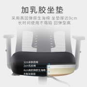 泉枫 电脑椅子家用舒适书房写字久坐座椅中学习办公椅人体工学椅 S166-01-全黑