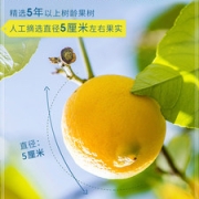 艺福堂   冻干柠檬片 100g*2盒