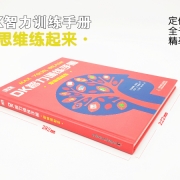 DK智力训练手册:思维练起来 6-12岁DK正版中文版儿童烧脑百科书开发思维脑力训练解谜游戏益智游戏书