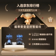 能率（NORITZ)天然气燃气灶5.0kW莲花猛火家用一级节能定时灶智能防干烧台嵌两用双灶具HN183G（天然气）
