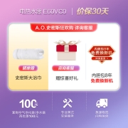 史密斯60升电热水器 专利免更换镁棒 金圭内胆8年包换 速热节能 纤美雅观长款 高清大屏E60VC0 一级能效 节能