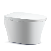 13日0点、再降价：PHILIPS 飞利浦 AIB6307/93 喷射式虹吸智能坐便器 305mm