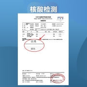 正大食品(CP) 老母鸡 1.4kg 鸡肉 鸡 冷冻整鸡 红烧卤制 滋补鸡汤 玉米谷物杂粮饲养500天以上母鸡 滋补食材